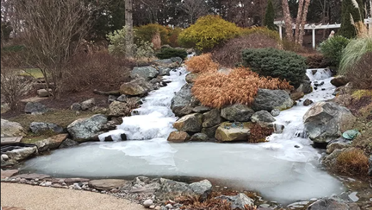 Frozen Pond